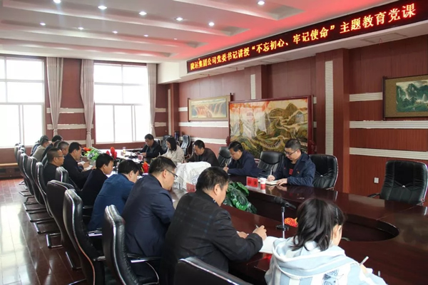 隴運集團(tuán)公司召開“不忘初心、牢記使命”主題教育專題黨課